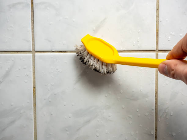 Best Mold Removal Near Me  in Owingsville, KY