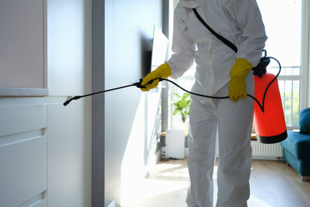 Best Commercial Mold Removal  in Owingsville, KY
